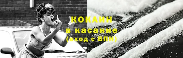 индика Баксан