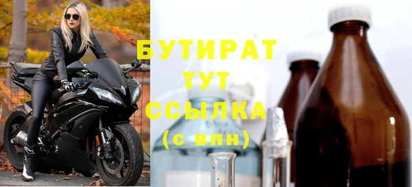 индика Баксан
