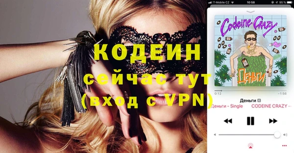 индика Баксан
