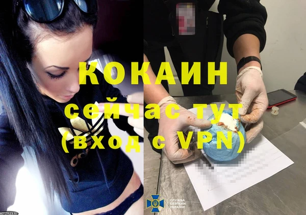 индика Баксан