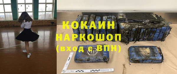 индика Баксан